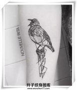<b>手臂鸟纹身图案大全 线条纹身 鸟纹身价格</b>