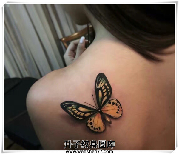 肩膀蝴蝶纹身图案