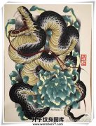 <b>蛇 菊花 纹身手稿 传统纹身价格</b>