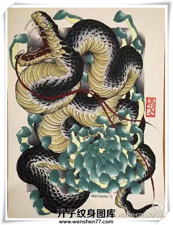 蛇菊花纹身手稿