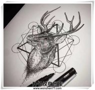 <b>鹿头纹身 鹿头纹身手稿 鹿头纹身费用</b>