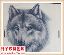 <b>重庆纹身培训 学员练习皮作品 狼头纹身</b>