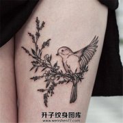 <b>大腿动物鸟纹身图案</b>