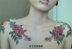 <b>肩膀纹身 植物纹身玫瑰花纹身 玫瑰花纹身价格</b>
