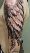 <b>大臂黑白写实翅膀纹身图案</b>