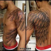 <b>肩膀纹身 侧腰纹身 超级大的一个翅膀纹身</b>