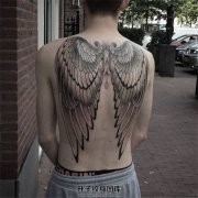 <b>后背纹身 翅膀纹身 翅膀纹身价格 后背纹身哪里好</b>