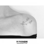 <b>重庆纹身 锁骨纹身 锁骨纹身价格 植物纹身</b>