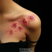 <b>重庆纹身 锁骨纹身 锁骨樱花纹身图案 樱花纹身价格</b>