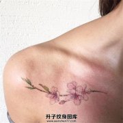 <b>重庆纹身 锁骨纹身 桃花纹身 桃花纹身价格</b>