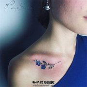 <b>重庆纹身 植物纹身花纹身 重庆一般纹个这样的多少钱</b>