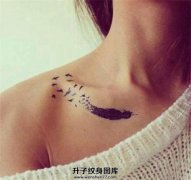<b>重庆纹身工作室 锁骨羽毛纹身 羽毛纹身价格</b>