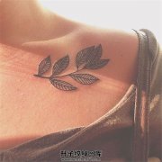 <b>重庆专业纹身店 树叶纹身图案 树叶纹身价格</b>