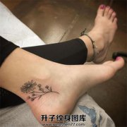 <b>重庆纹身店 重庆脚踝纹身 重庆菊花纹身价格</b>