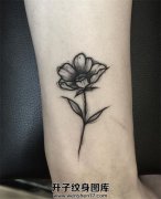 <b>脚踝植物花纹身图案 植物纹身培训</b>