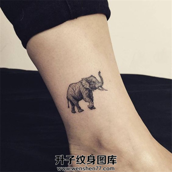脚踝小象纹身图案