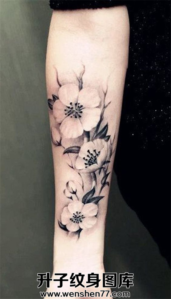 手腕植物纹身花纹身