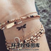 <b>重庆洗纹身 手腕蜻蜓纹身 重庆洗纹身费用</b>