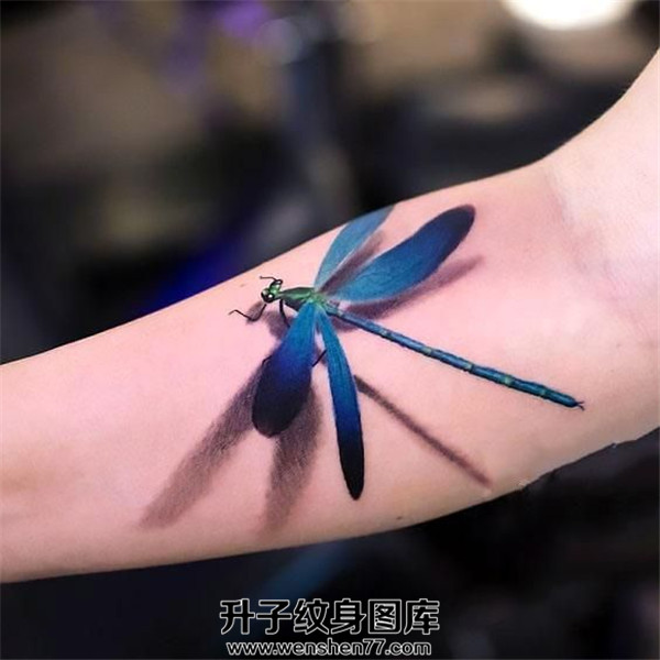 手臂3D蜻蜓纹身图案