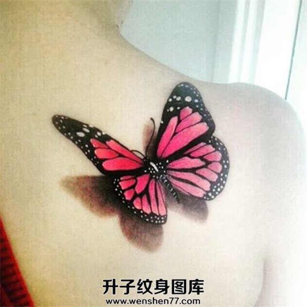 肩膀3D蝴蝶纹身图案