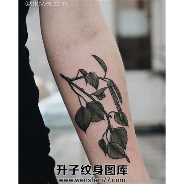 手臂 小植物纹身图案