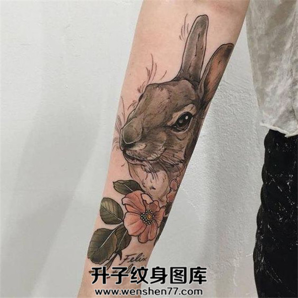 手臂内侧兔子纹身图案大全