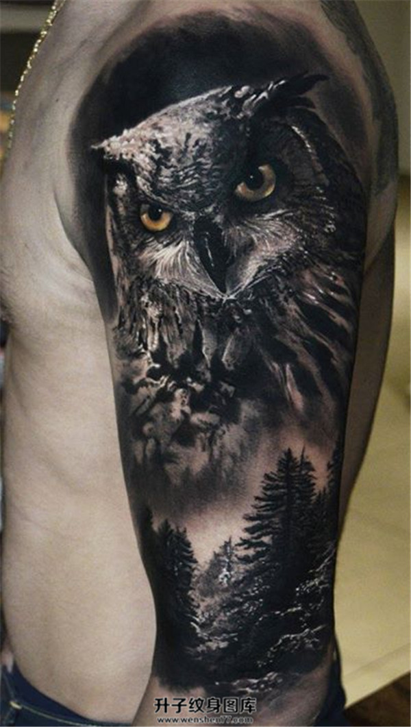 手臂黑灰写实猫头鹰纹身图案