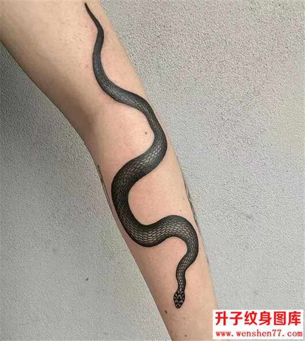 手臂蛇纹身图案 重庆纹身