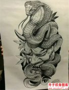 <b>蛇纹身图案 蛇纹身图片</b>