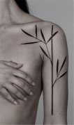 本期推出植物纹身_竹子纹身图案_特价纹身图片