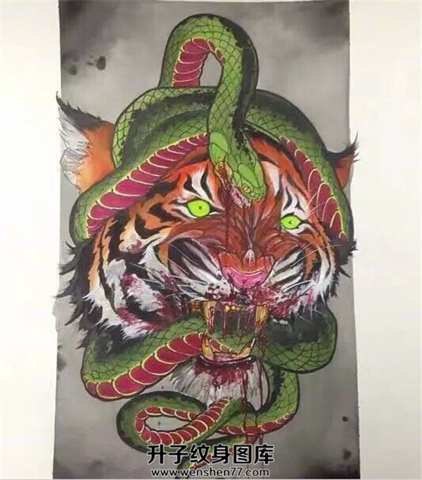 老虎与蛇纹身手稿图案  重庆纹身店