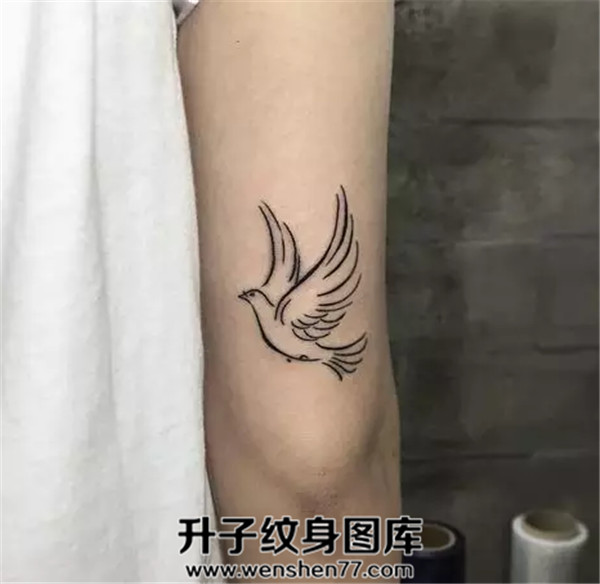 手臂鸽子纹身图案 重庆纹身店