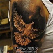 <b>鸽子纹身_鸽子纹身图案_鸽子纹身的寓意！！</b>
