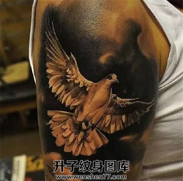 手臂鸽子纹身图案  重庆纹身店