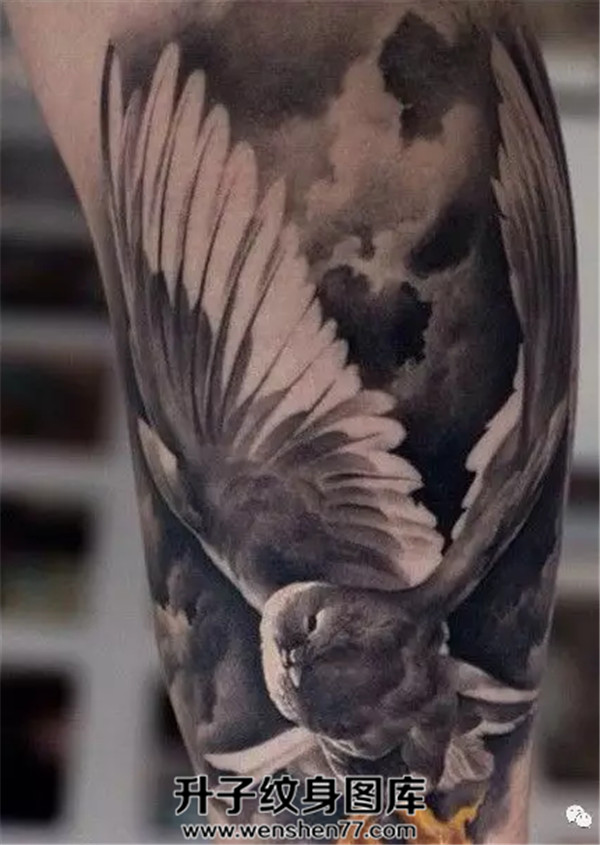 手臂写实鸽子纹身图案 重庆纹身