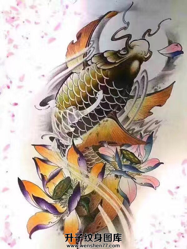 彩色鲤鱼纹身手稿图案  重庆最好纹身店