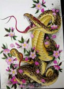 <b>传统纹身_蛇纹身手稿图案 蛇纹身图片</b>
