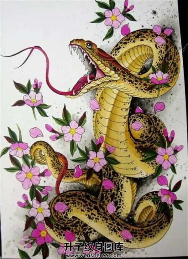 蛇纹身手稿图案  重庆纹身店