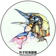 <b>重庆动物鸟纹身_鸟纹身手稿图案_重庆鸟纹身价格</b>