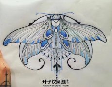 <b>蝴蝶纹身手稿图案</b>