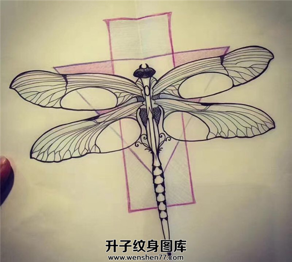 蜻蜓纹身手稿图案