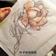 <b>植物花纹身手稿图案</b>