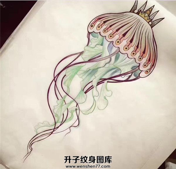 水母纹身手稿图案