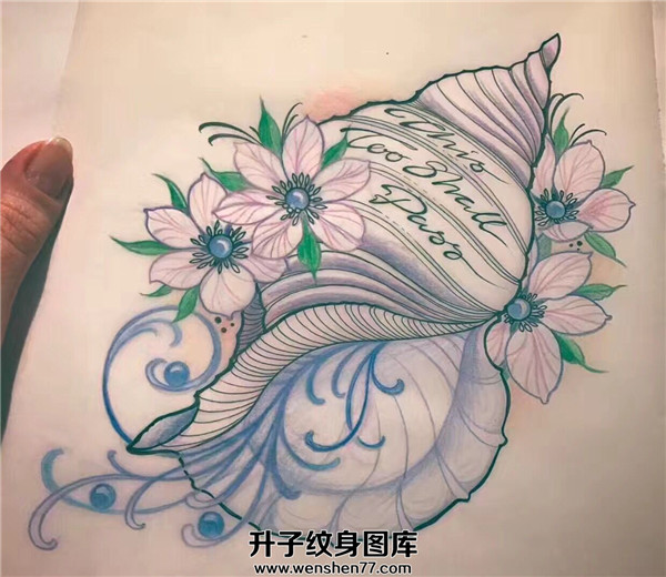 海螺纹身手稿图案