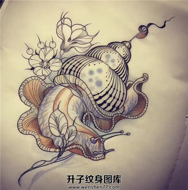 蜗牛纹身手稿图案