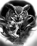 <b>欧美写实猫头鹰纹身手稿图案</b>