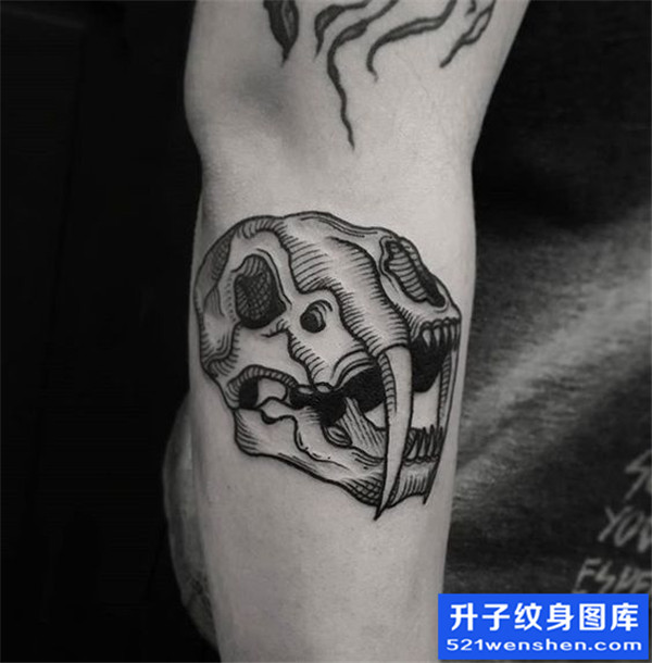 手臂兽头纹身图案