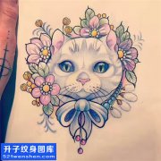 <b>猫纹身手稿图案大全</b>