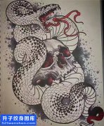 <b>蛇骷髅纹身手稿图案大全 - 九街纹身</b>