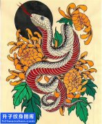 菊花蛇纹身手稿图案大全 - 解放碑纹身